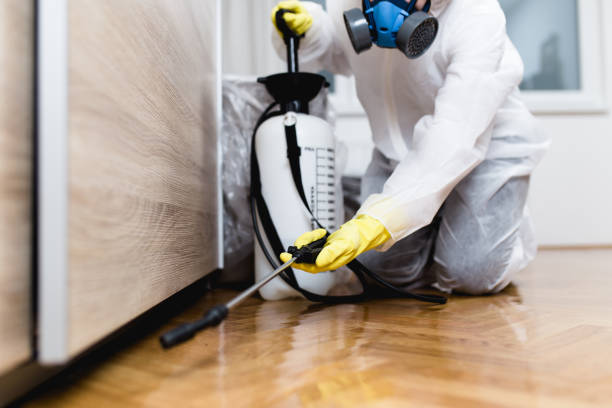 Best Best Pest Control Companies  in Bloomingdale, IL