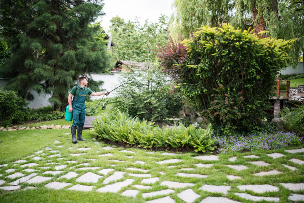 Best Commercial Pest Control Services  in Bloomingdale, IL
