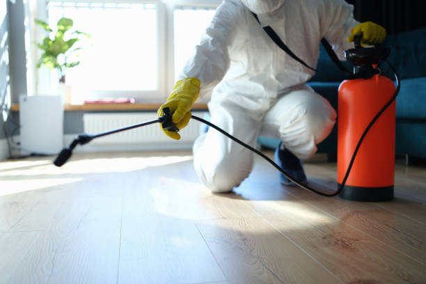 Best Mosquito Control Services  in Bloomingdale, IL