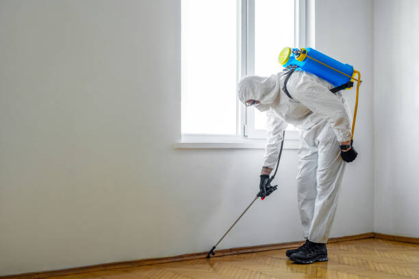 Best Residential Pest Control  in Bloomingdale, IL