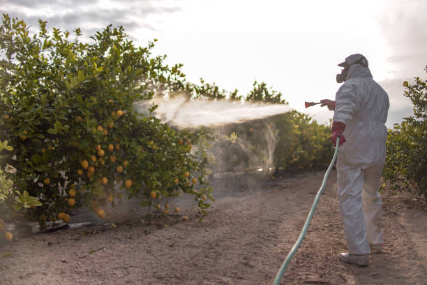 Best Wasp Removal Services  in Bloomingdale, IL