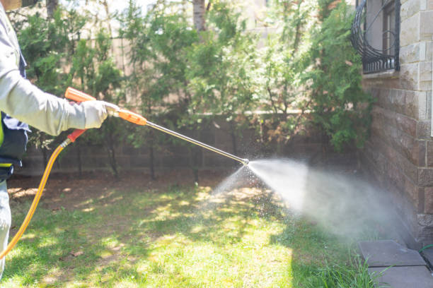 Best Flea Control Services  in Bloomingdale, IL