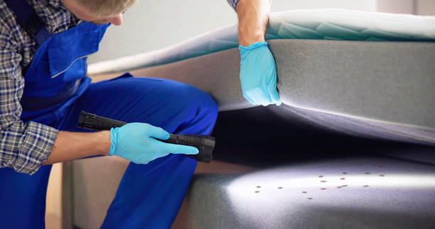 Reliable Bloomingdale, IL Pest Control Solutions