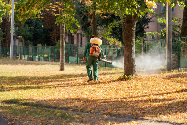 Best Cockroach Control Services  in Bloomingdale, IL