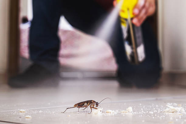 Best Pest Inspection Near Me  in Bloomingdale, IL